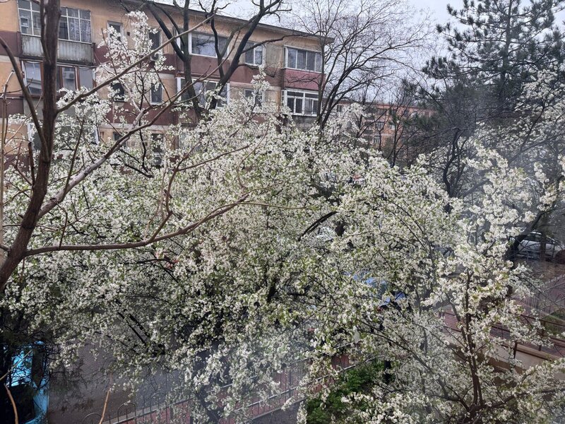 Muncii, Ion Tuculescu apartament cu 2 camere de inchiriat