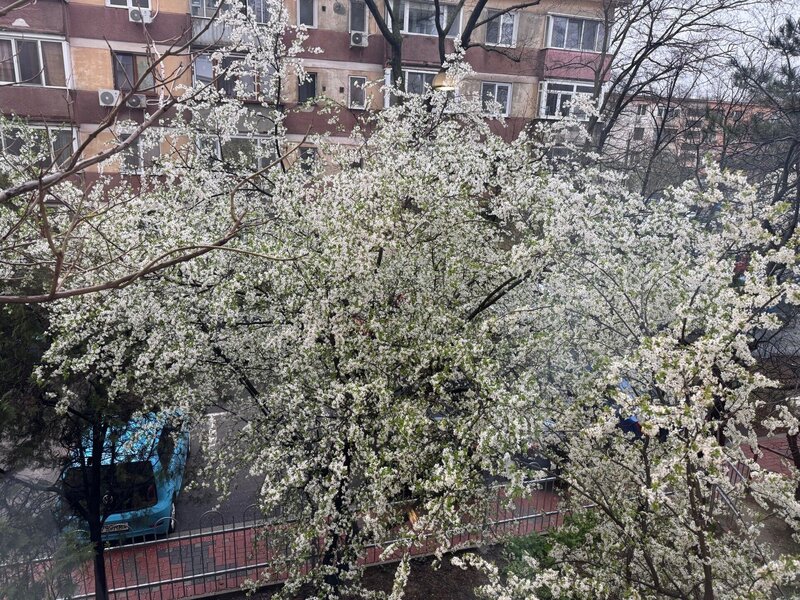 Muncii, Ion Tuculescu apartament cu 2 camere de inchiriat